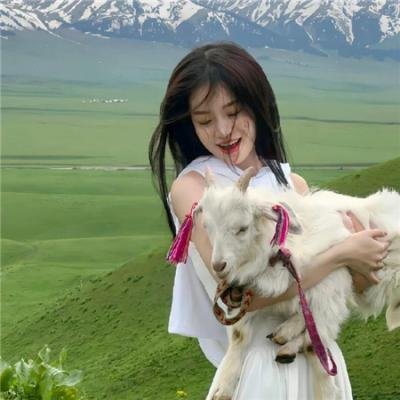 刺客娇娃:赏金女猎人