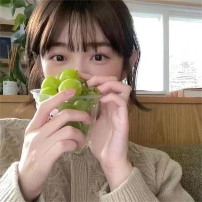 大毛狗